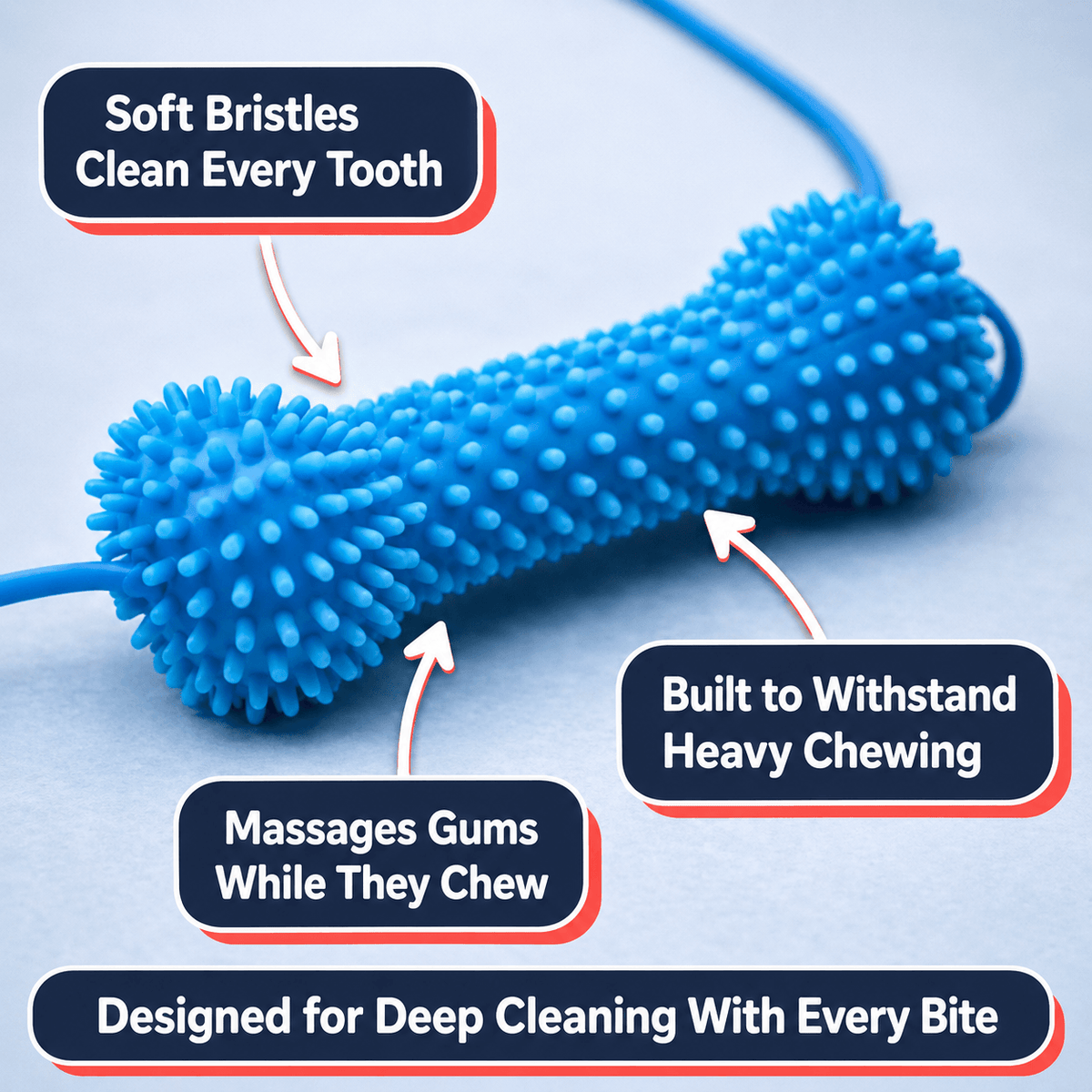 Dog Dental Bite Chew Toy for Easier Teeth Brushing & Cleaning