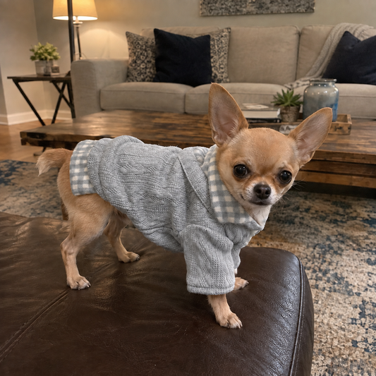 Warm & Stylish Knitted Dog Jumper & Sweater