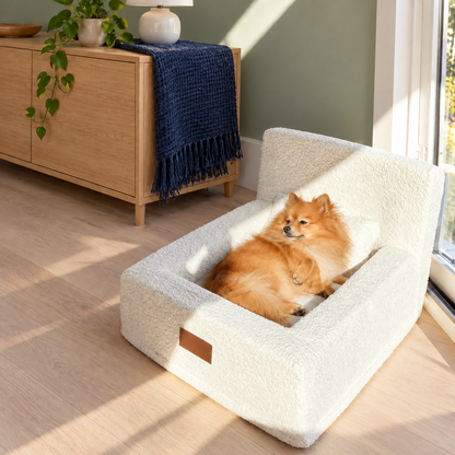 Luxurious Orthopaedic Memory Foam Dog Bed with Pillow and Bolsters