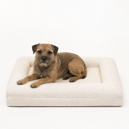 Luxurious Orthopaedic Memory Foam Dog Bed with Bolsters & Machine-Washable Cover