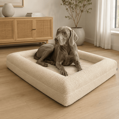 Luxurious Orthopaedic Memory Foam Dog Bed with Bolsters & Machine-Washable Cover