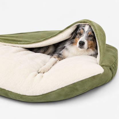 Green hooded dog bed with an Australian shepherd resting beneath the cover