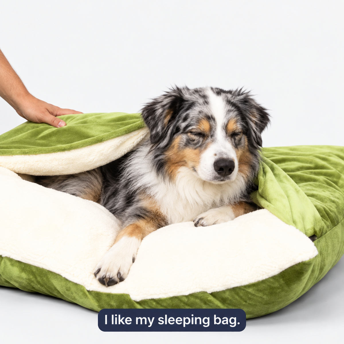 Australian shepherd relaxing in a green hooded dog bed