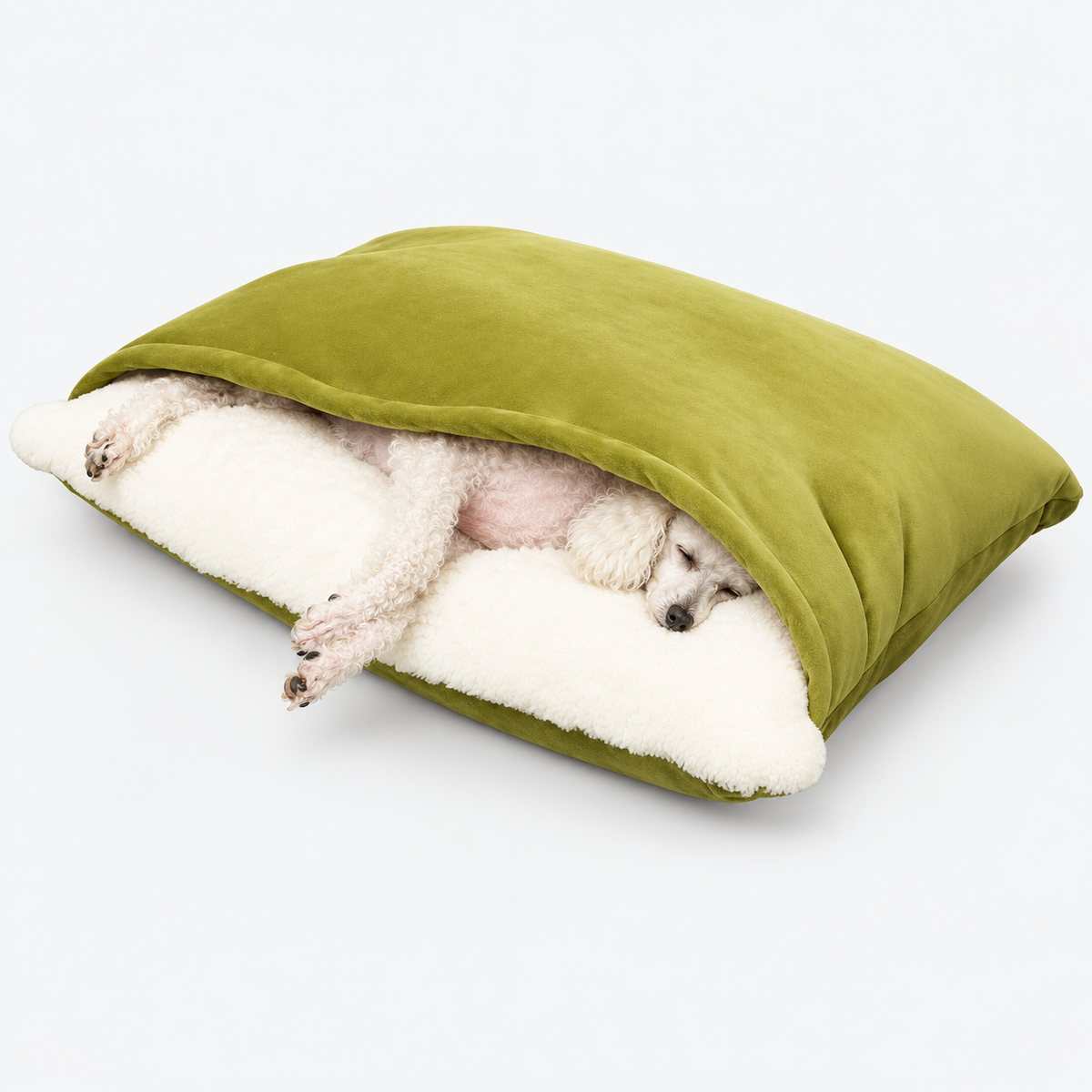 Green hooded dog bed with a poodle reclining beneath the cover