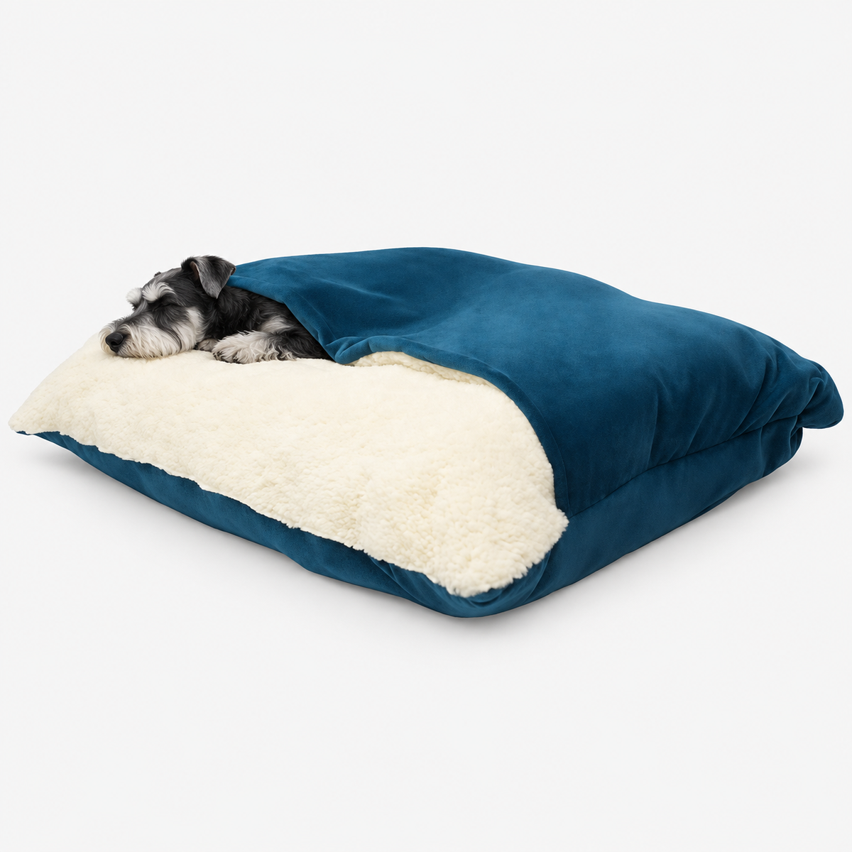 Blue hooded dog bed with a sleeping miniature schnauzer