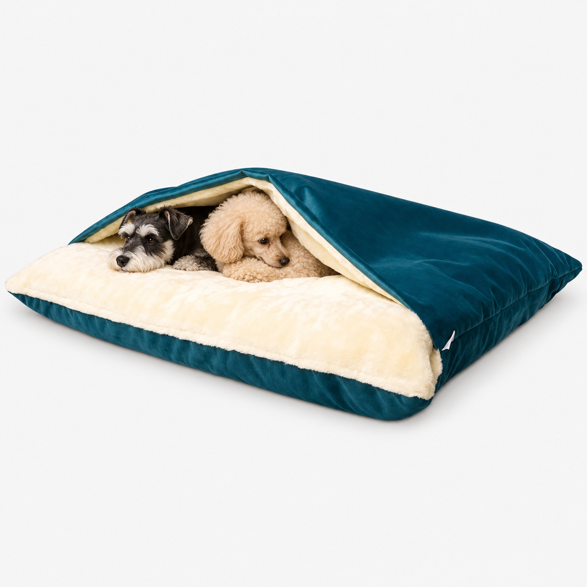Blue hooded dog bed with two small dogs under the blanket