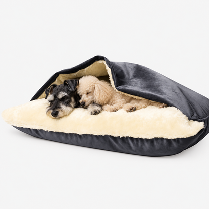 Dark grey hooded dog bed with two sleeping small dogs
