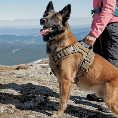 No-Pull Tactical Dog Harness