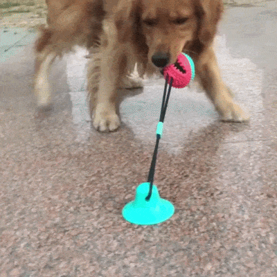 Dog Treat Ball Chew Toy with Suction Cup
