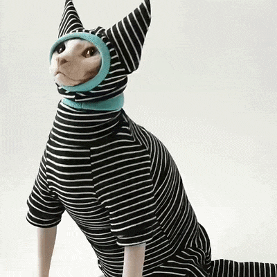 Cute Cat Onesie & Pajama - Black & White Outfit Set