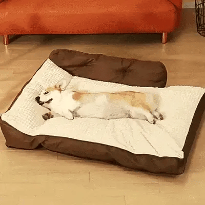 Orthopaedic Pillow Dog Bed with Washable Cover