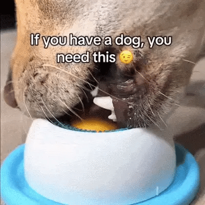Slow Feeding Interactive Dog Lick Toy