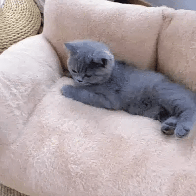 Fluffy Sofa-Shaped Pet Bed with Pillow