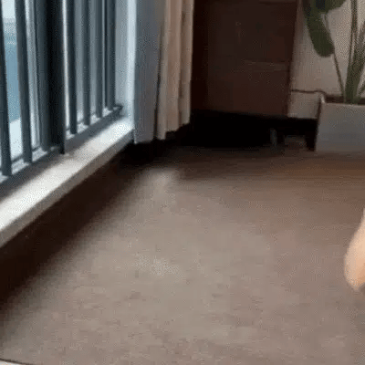 Fluffy Sofa-Shaped Pet Bed with Pillow