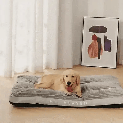 Rectangular Orthopedic Dog Bed with Machine-Washable Cover