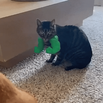 Funny & Cute Cat Muscles Arms Halloween Costume