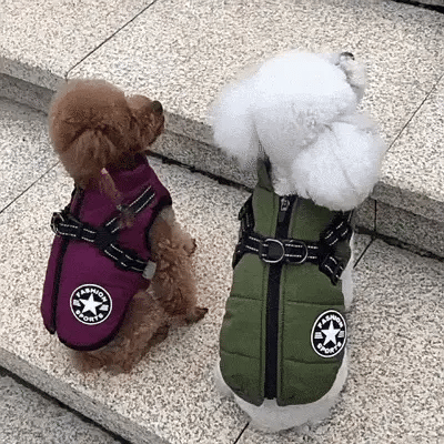 Waterproof Insulated Dog Jacket with Built-In Harness