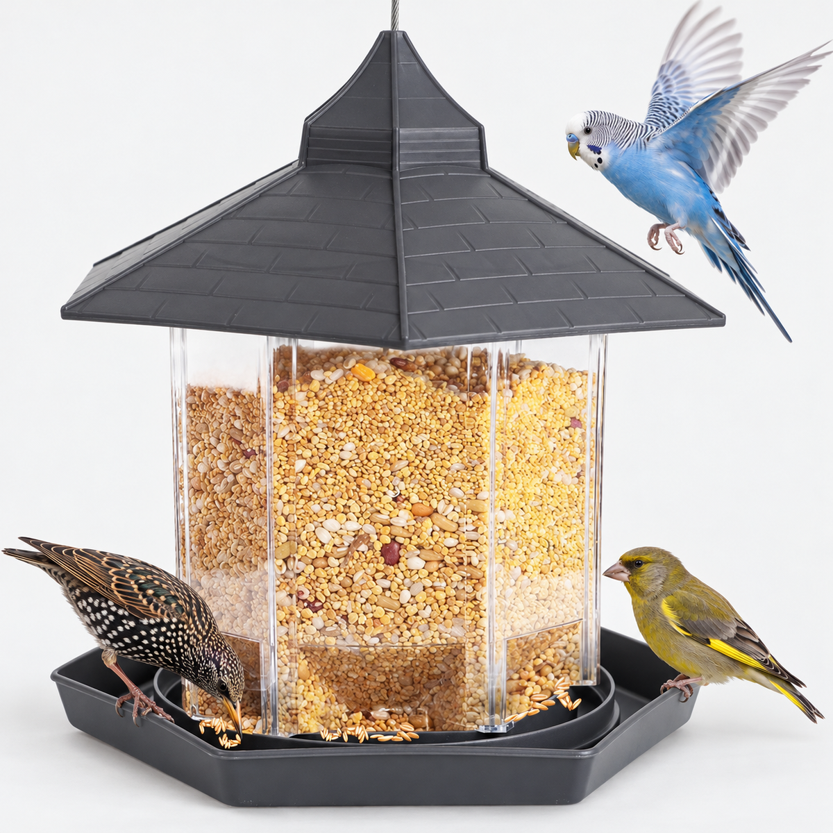 Large Squirrel Proof Hanging Bird Feeder with 2.5 lb Capacity & Transparent Chamber