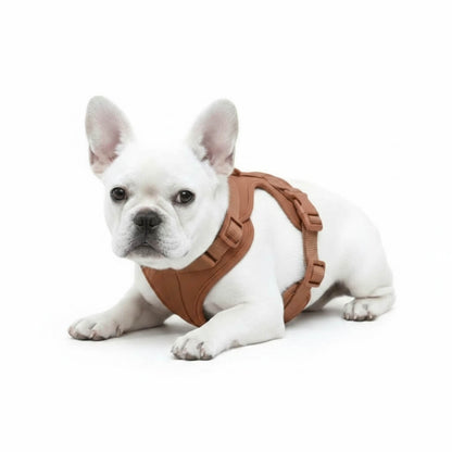 Feather-Light No-Pull Harness
