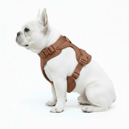 Feather-Light No-Pull Harness
