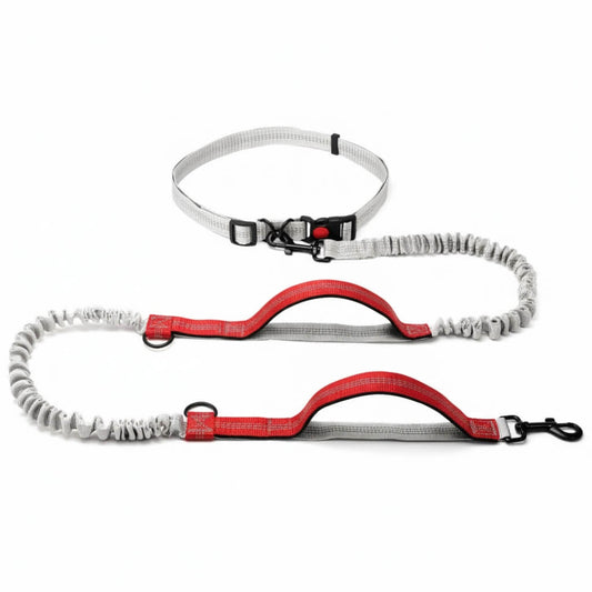 Fun Walk Hands-Free Dog Leash