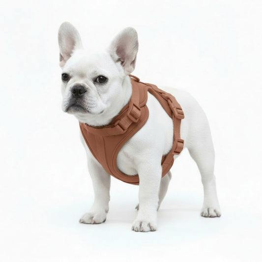 Feather-Light No-Pull Harness