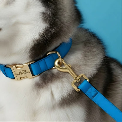 Nylon Dog Lead 150 cm
