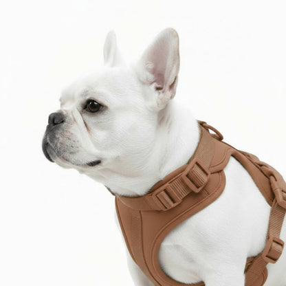 Feather-Light No-Pull Harness