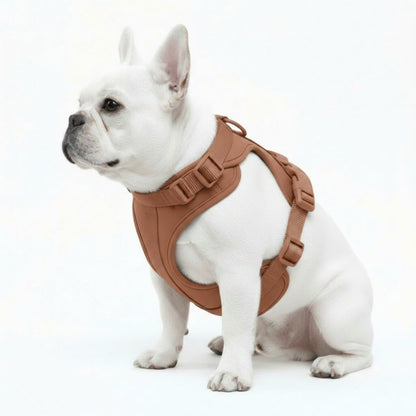 Feather-Light No-Pull Harness