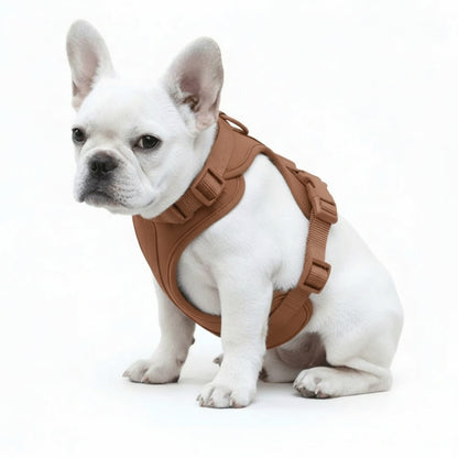 Feather-Light No-Pull Harness