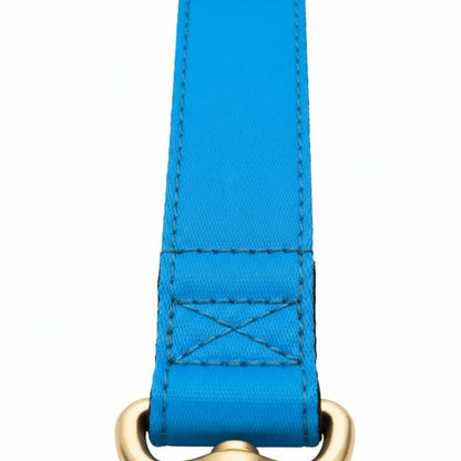 Nylon Dog Lead 150 cm