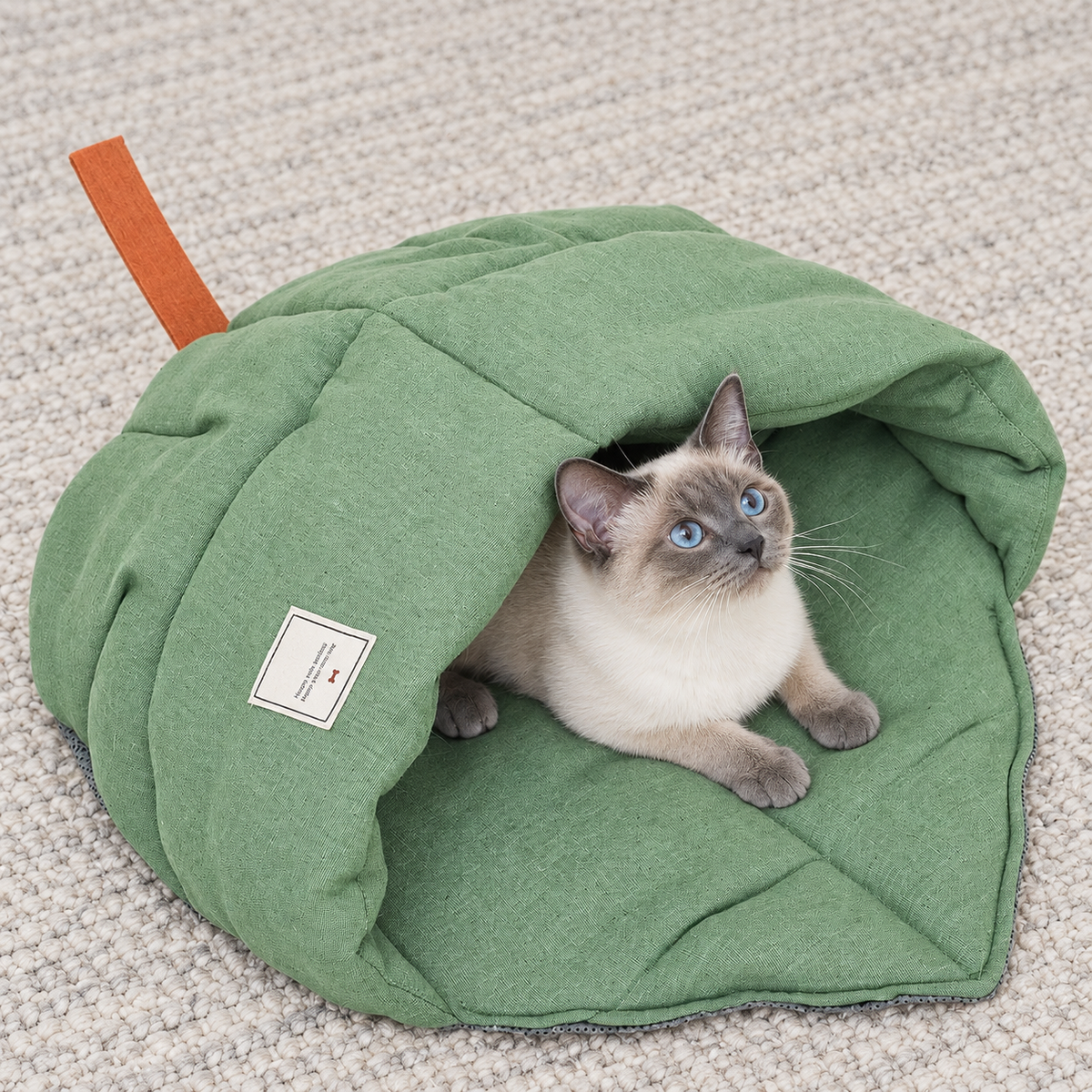 Green leaf cave bed with a pet looking upwards