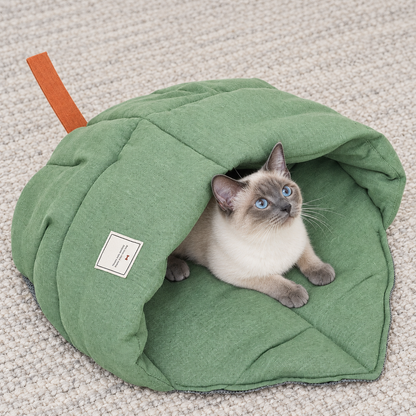 Green leaf cave bed with a pet looking upwards