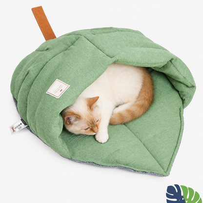 Pet resting inside the hooded leaf bed