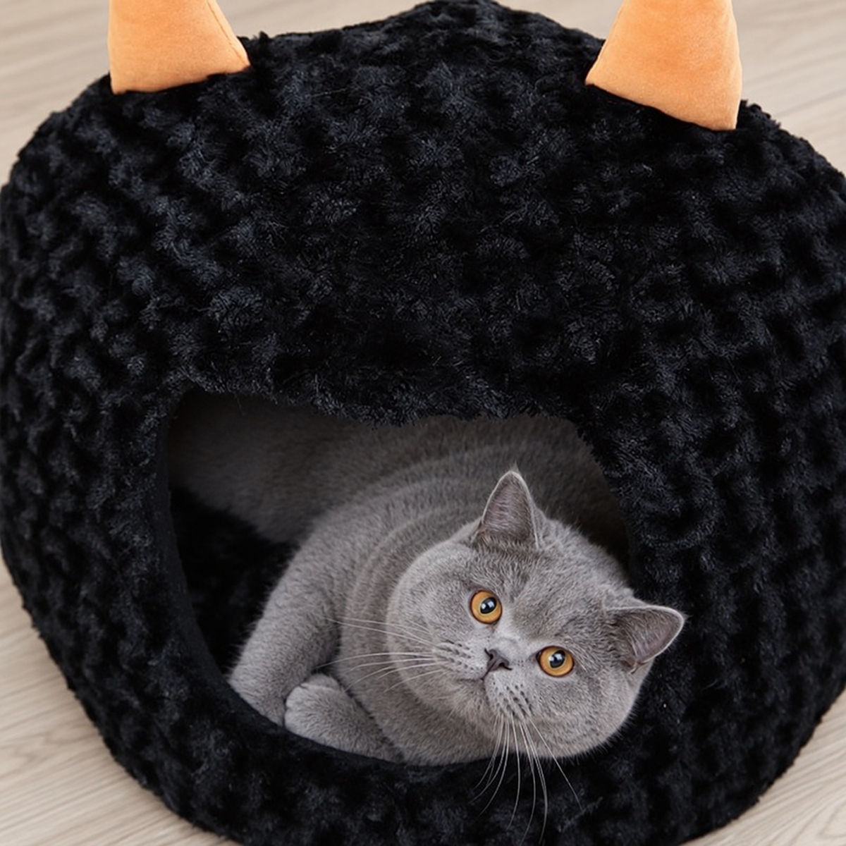 High-angle close-up of a pet resting in the bat cave