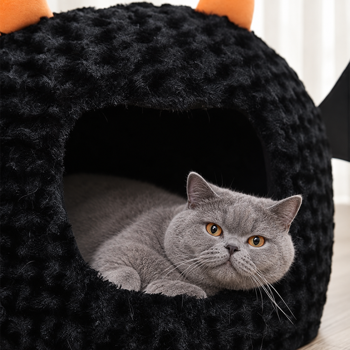 Front close-up of a pet resting at the bat cave entrance