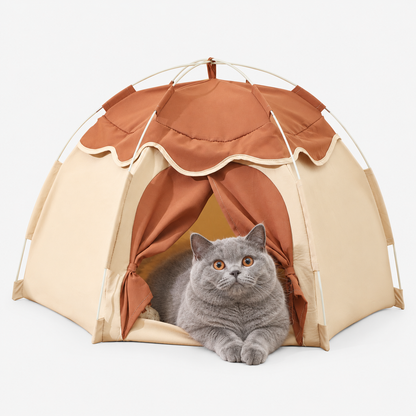 Grey British Shorthair resting at the entrance of a beige and brown pet tent