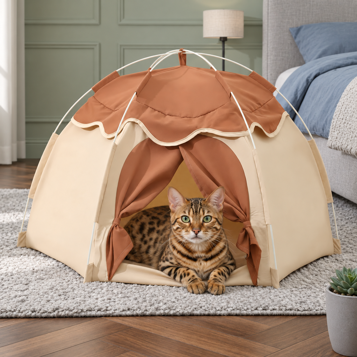 Bengal cat in a pet tent in a bedroom