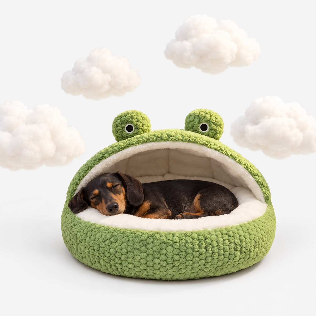 Sleeping dachshund in a frog bed surrounded by cotton clouds