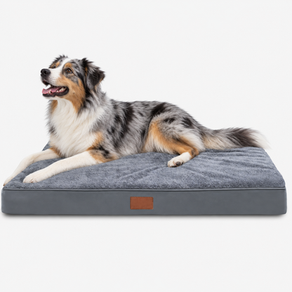 Australian Shepherd on a grey orthopaedic dog mattress