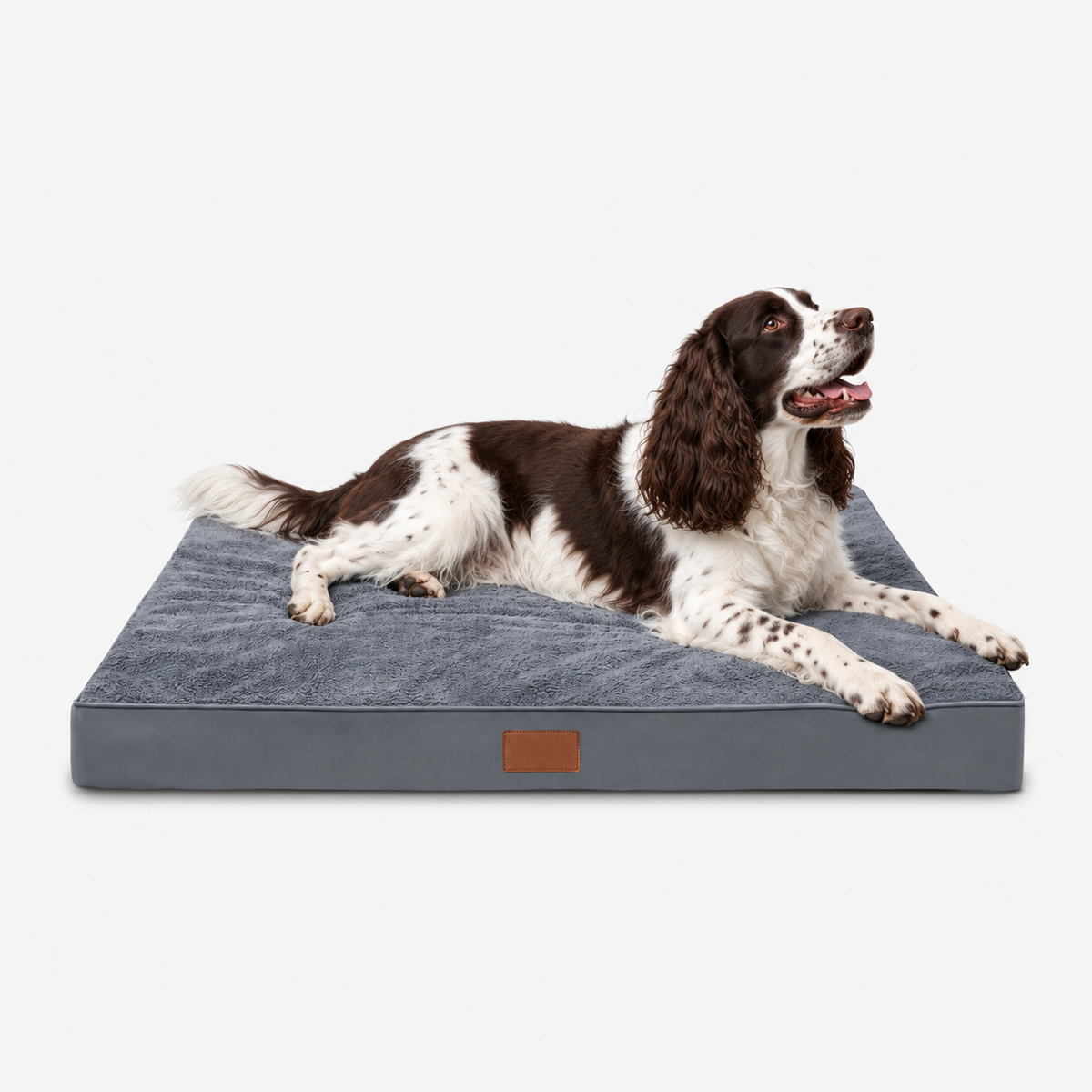 Springer Spaniel resting on a grey plush dog mattress