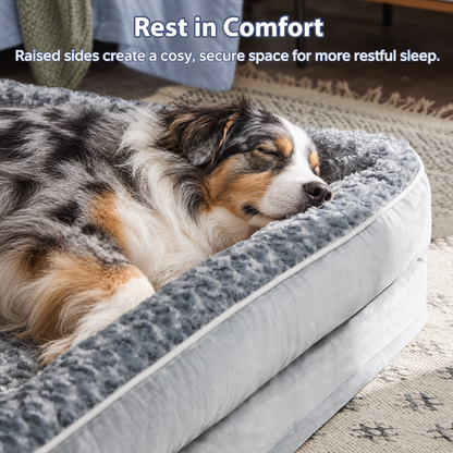 Close-up of a dog resting against a soft bolster