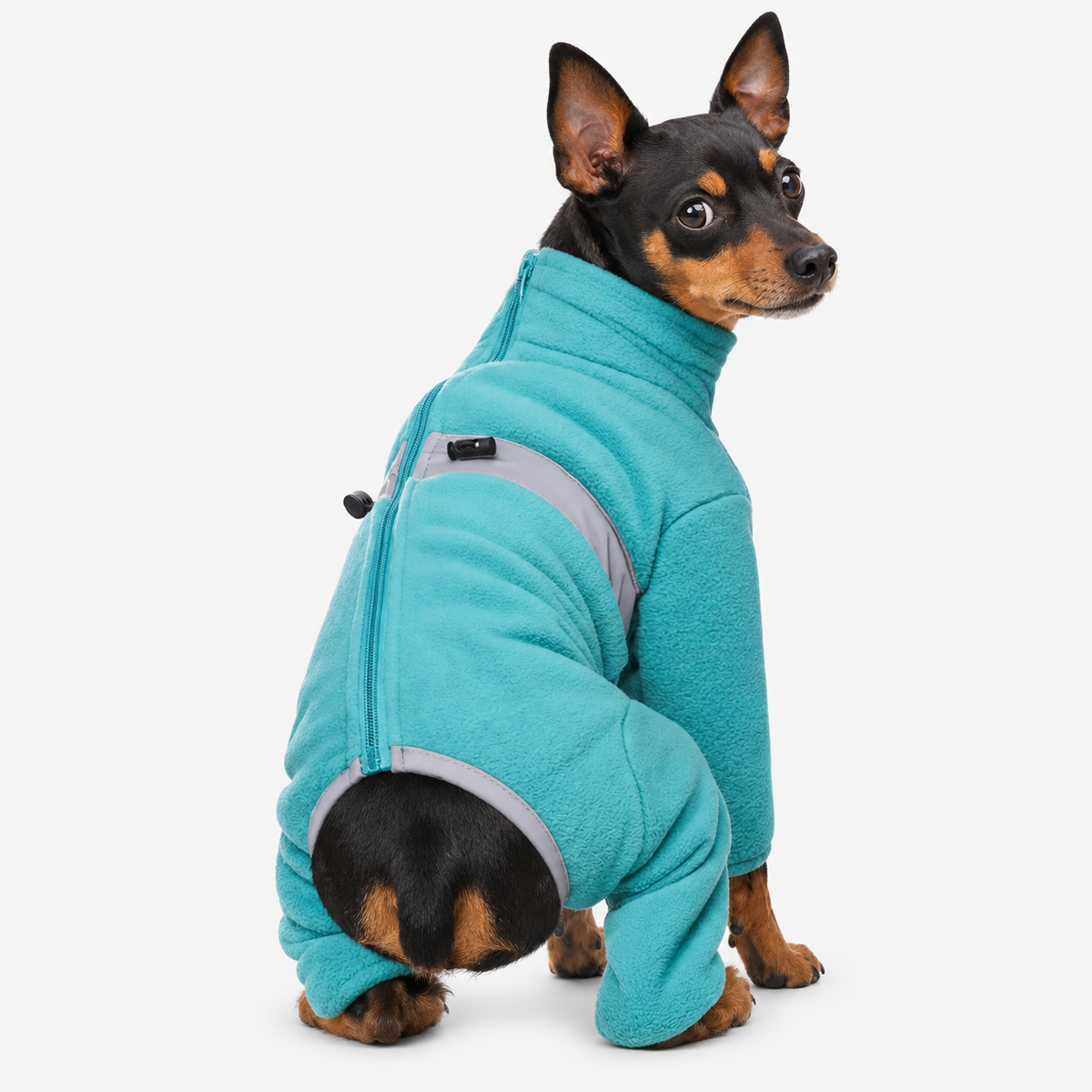 Light blue fleece dog jumpsuit worn by a seated Miniature Pinscher, rear view showing the back zip and reflective band.