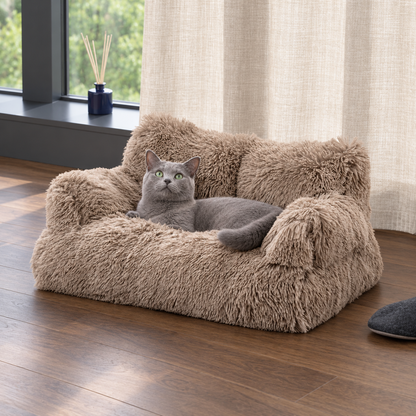 Brown fluffy pet sofa with a relaxed cat by a window