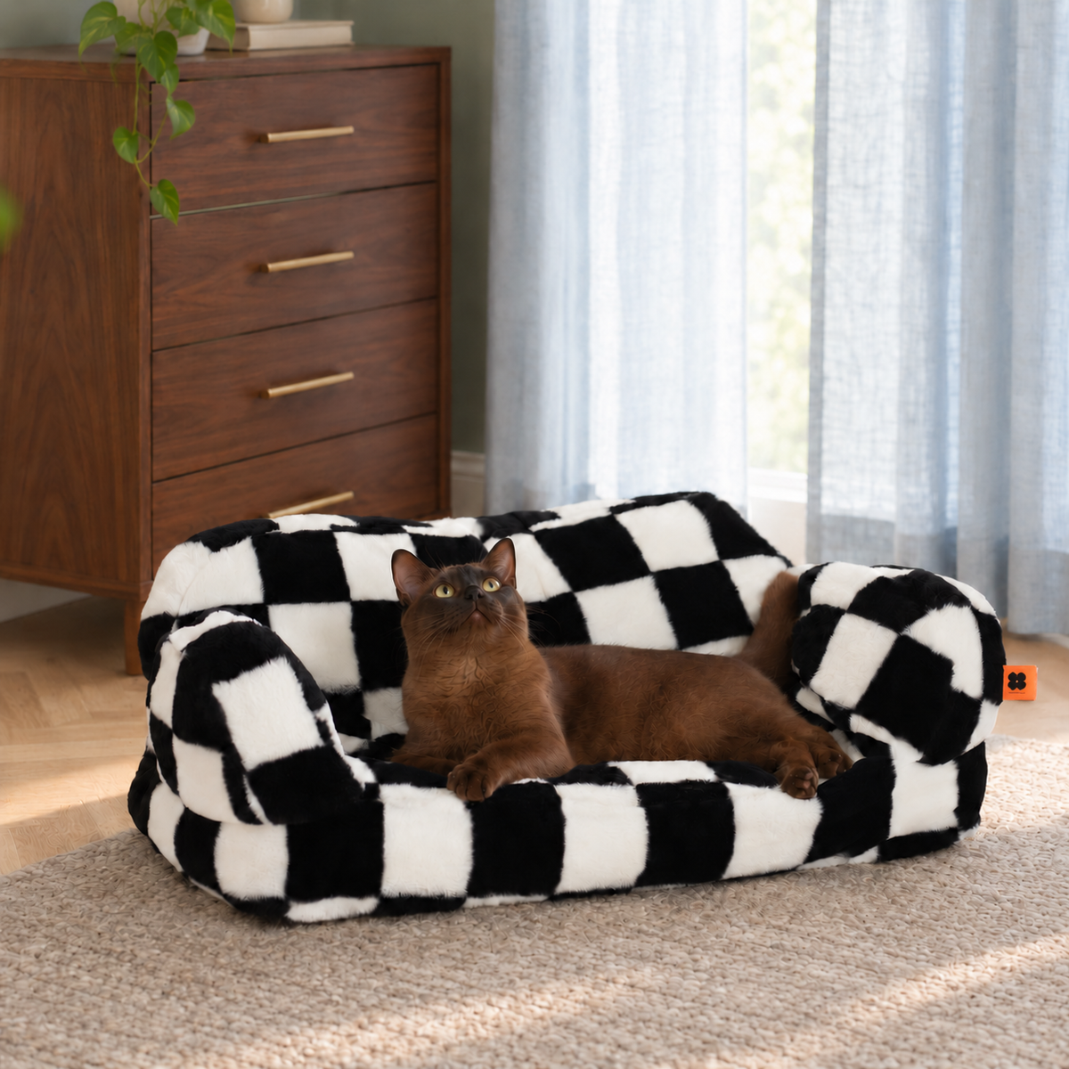 A brown cat relaxing on the checked pet sofa beside a window