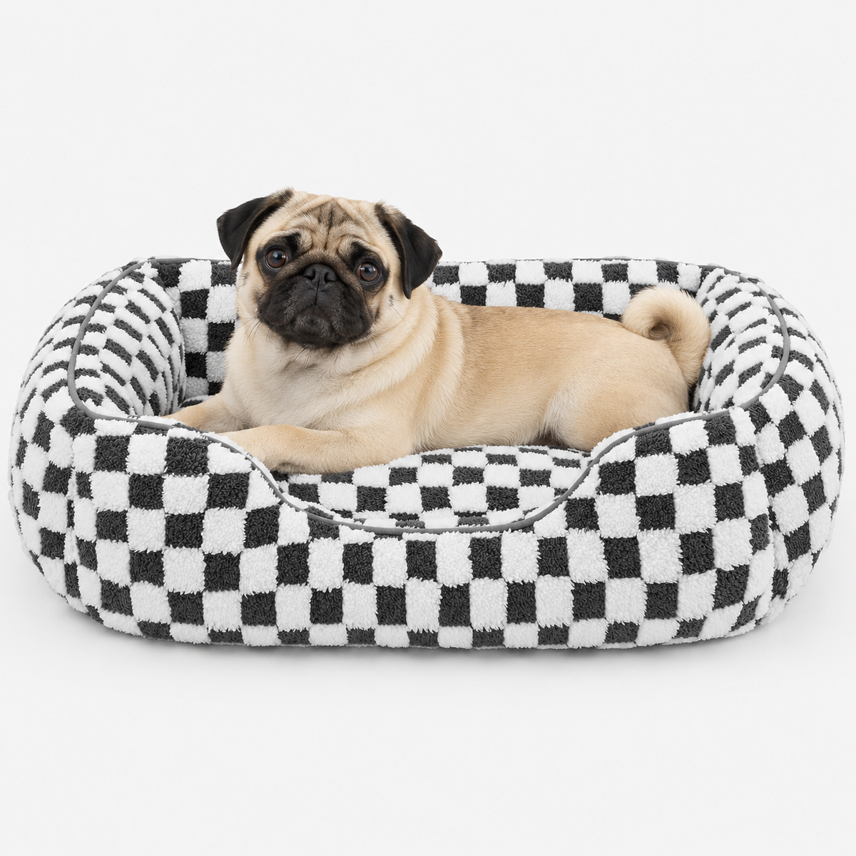 A fawn pug lying in the black checked bolster bed in a studio