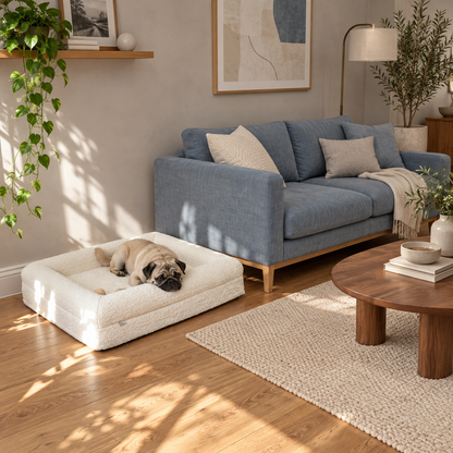 Luxurious Orthopaedic Dog Bed