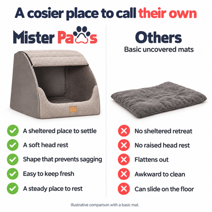 Mister Paws cave bed comfort compared with a basic dog bed