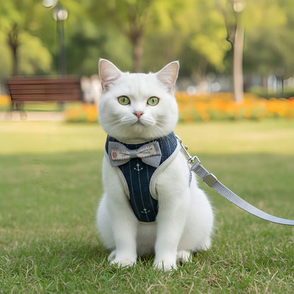 Little Explorer Cat Harness & Lead