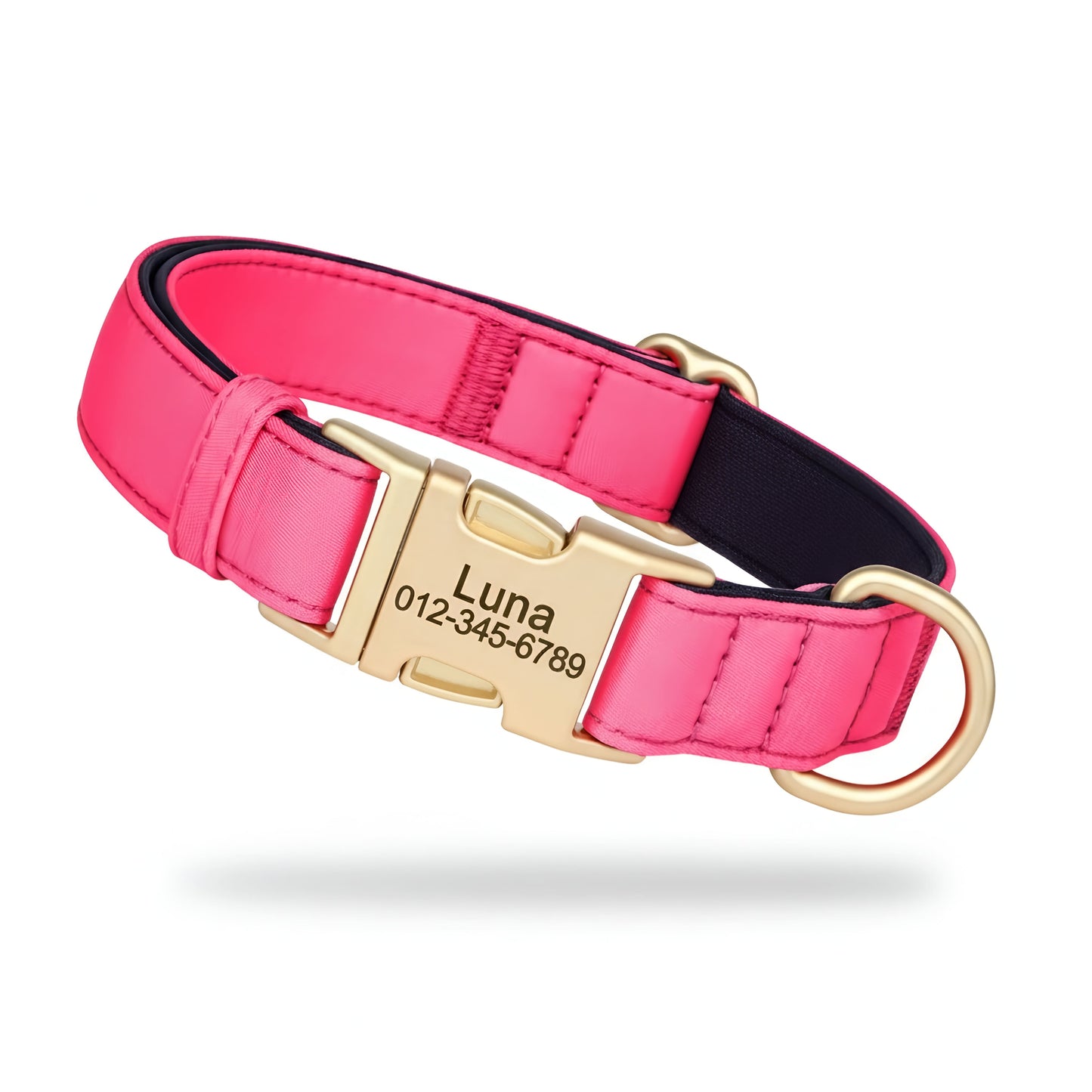 Colorful Laser-Engraved Dog Collar